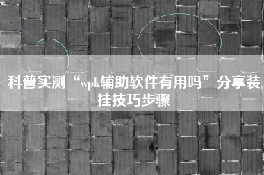 科普实测“wpk辅助软件有用吗”分享装挂技巧步骤