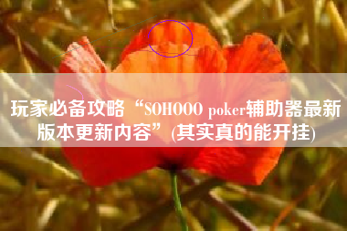 玩家必备攻略“SOHOOO poker辅助器最新版本更新内容”(其实真的能开挂)