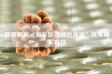 教程解析“微乐卧龙辅助神器”其实确实有挂