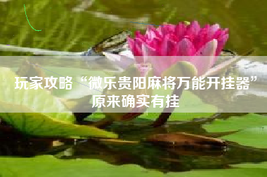 玩家攻略“微乐贵阳麻将万能开挂器”原来确实有挂