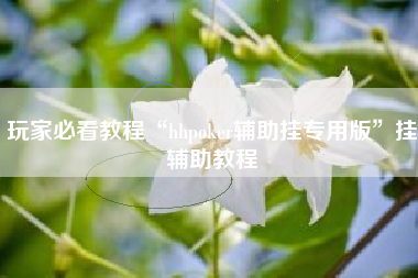 玩家必看教程“hhpoker辅助挂专用版	”挂辅助教程