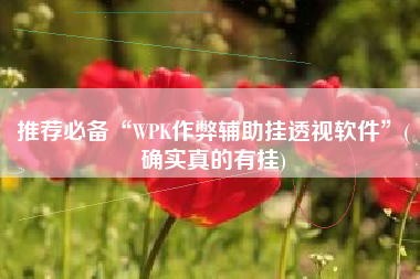 推荐必备“WPK作弊辅助挂透视软件”(确实真的有挂)