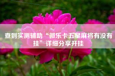 查到实测辅助“微乐卡五星麻将有没有挂	”详细分享开挂