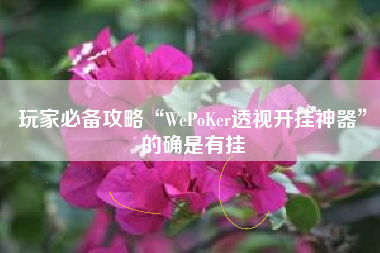 玩家必备攻略“WePoKer透视开挂神器	”的确是有挂