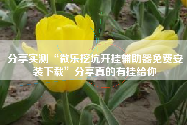 分享实测“微乐挖坑开挂辅助器免费安装下载	”分享真的有挂给你