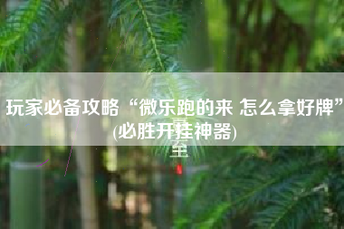 玩家必备攻略“微乐跑的来 怎么拿好牌	”(必胜开挂神器)