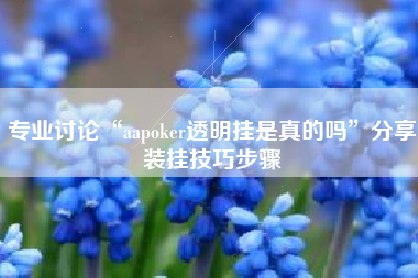 专业讨论“aapoker透明挂是真的吗”分享装挂技巧步骤