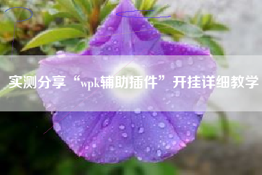 实测分享“wpk辅助插件”开挂详细教学