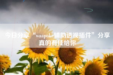 今日分享“waapoke辅助透视插件”分享真的有挂给你