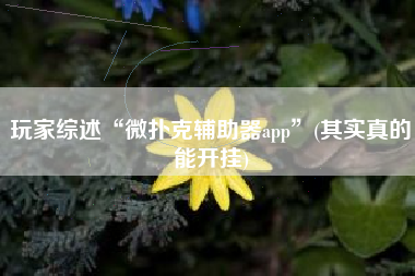 玩家综述“微扑克辅助器app	”(其实真的能开挂)