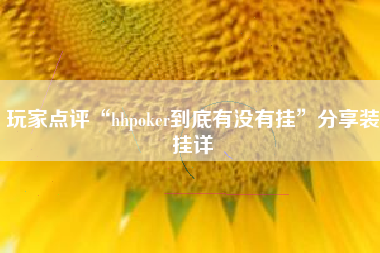 玩家点评“hhpoker到底有没有挂”分享装挂详