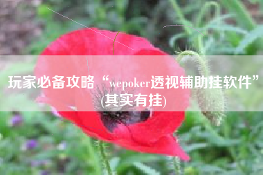玩家必备攻略“wepoker透视辅助挂软件	”(其实有挂)