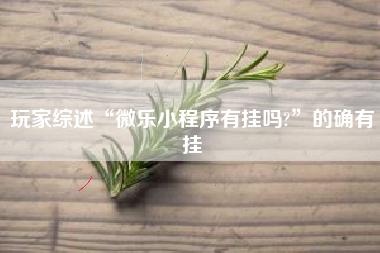 玩家综述“微乐小程序有挂吗?	”的确有挂