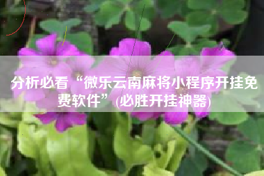 分析必看“微乐云南麻将小程序开挂免费软件”(必胜开挂神器)