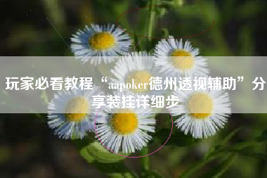 玩家必看教程“aapoker德州透视辅助”分享装挂详细步