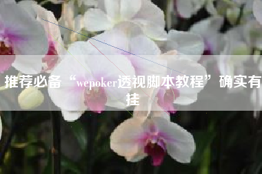 推荐必备“wepoker透视脚本教程”确实有挂