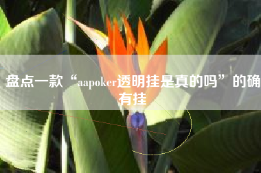 盘点一款“aapoker透明挂是真的吗”的确有挂