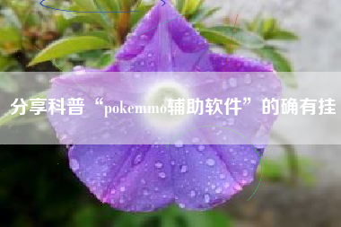 分享科普“pokemmo辅助软件	”的确有挂