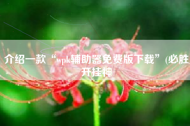 介绍一款“wpk辅助器免费版下载	”(必胜开挂神