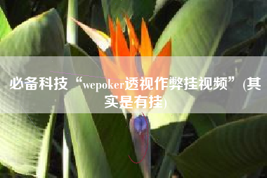 必备科技“wepoker透视作弊挂视频”(其实是有挂)