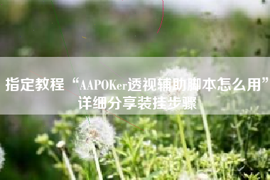 指定教程“AAPOKer透视辅助脚本怎么用	”详细分享装挂步骤