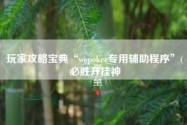 玩家攻略宝典“wepoker专用辅助程序	”(必胜开挂神