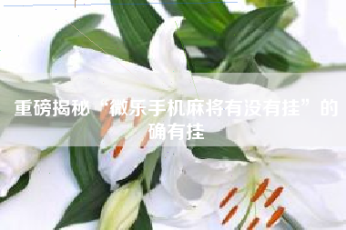 重磅揭秘“微乐手机麻将有没有挂	”的确有挂