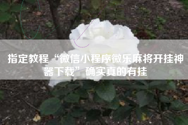 指定教程“微信小程序微乐麻将开挂神器下载”确实真的有挂