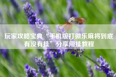 玩家攻略宝典“手机版打微乐麻将到底有没有挂”分享用挂教程