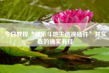 今日教程“微乐斗地主透视插件”其实真的确实有挂