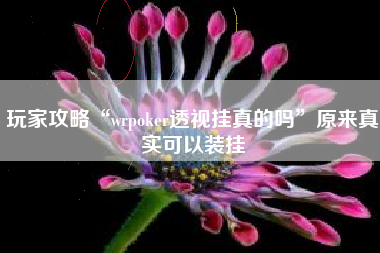 玩家攻略“wrpoker透视挂真的吗	”原来真实可以装挂