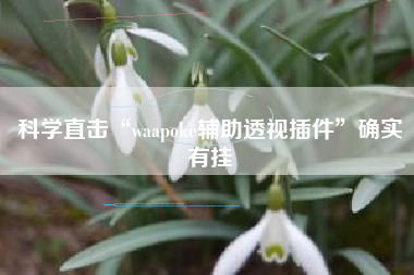 科学直击“waapoke辅助透视插件	”确实有挂