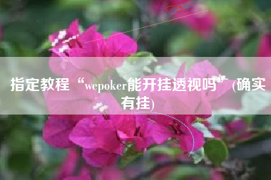 指定教程“wepoker能开挂透视吗	”(确实有挂)