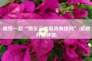 推荐一款“微乐云南麻将有挂吗”(必胜开挂神器)