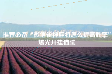 推荐必备“微信雀神麻将怎么提高胜率	”爆光开挂猫腻