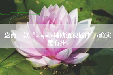 盘点一款“waapoke辅助透视插件”(确实是有挂)