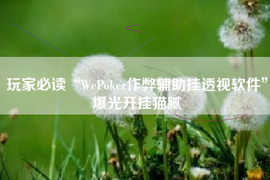 玩家必读“WePoker作弊辅助挂透视软件”爆光开挂猫腻