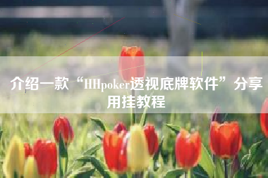 介绍一款“HHpoker透视底牌软件”分享用挂教程