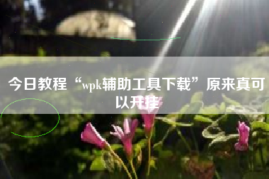 今日教程“wpk辅助工具下载”原来真可以开挂