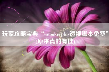 玩家攻略宝典“wepokerplus透视脚本免费”(原来真的有挂)