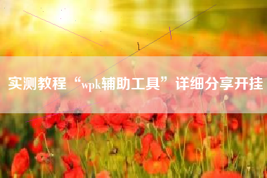 实测教程“wpk辅助工具”详细分享开挂