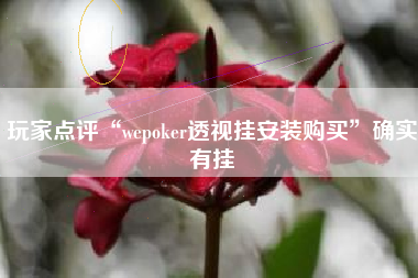 玩家点评“wepoker透视挂安装购买”确实有挂
