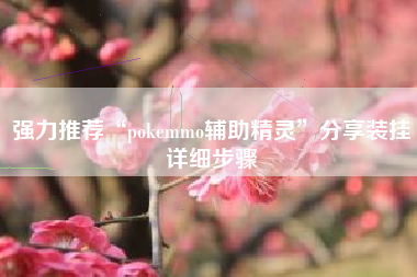 强力推荐“pokemmo辅助精灵”分享装挂详细步骤
