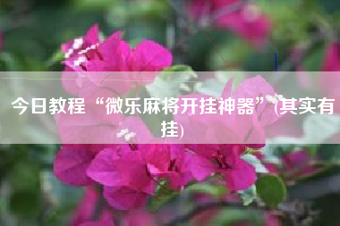 今日教程“微乐麻将开挂神器”(其实有挂)