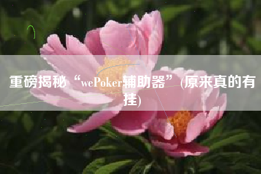 重磅揭秘“wePoker辅助器”(原来真的有挂)