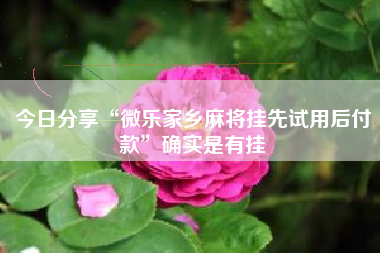 今日分享“微乐家乡麻将挂先试用后付款	”确实是有挂