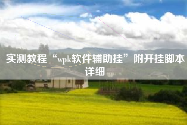 实测教程“wpk软件辅助挂”附开挂脚本详细