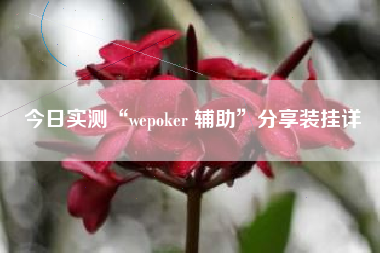 今日实测“wepoker 辅助”分享装挂详
