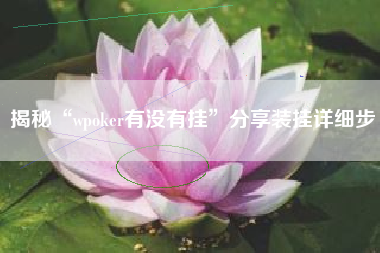 揭秘“wpoker有没有挂”分享装挂详细步