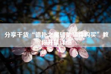 分享干货“德扑之星辅助插件购买”教你开挂详细